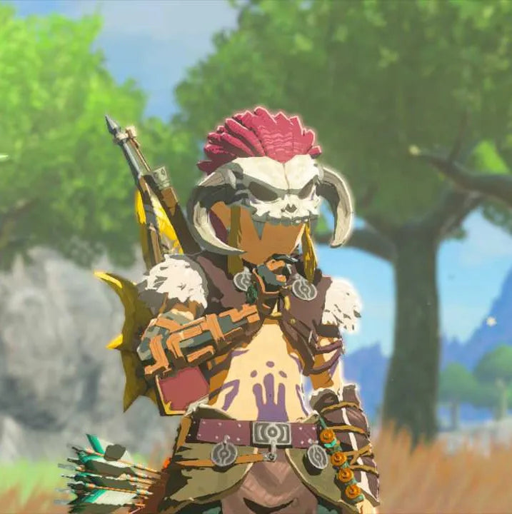 breath of the wild armor