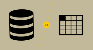 Database vs Spreadsheet: The Best Database Management System