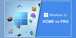 windows 11 pro vs home