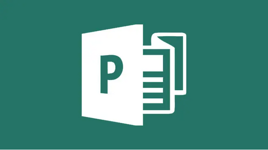 What is MS Publisher: Inside the Office DTP Application