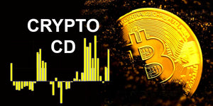 Learn the Basics and How to Invest in a Crypto CD!