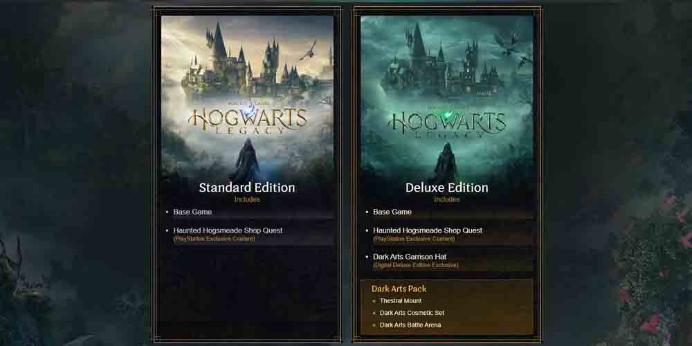 Hogwarts Legacy Deluxe vs Standard | Key Differences