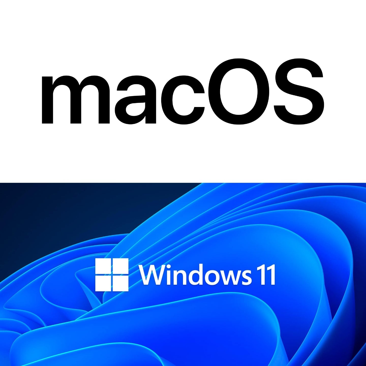 Best Excel: Mac Vs Windows - The Programs Comparison