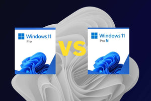 windows 11 pro vs pro n