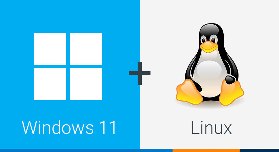 How To Dual Boot Windows 11 and Linux: An Easy Set Up