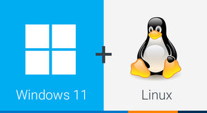 Dual Booting Windows 11 and Linux