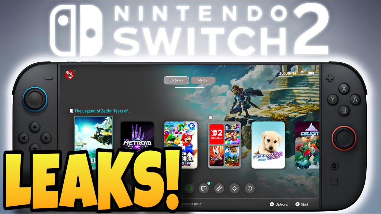 nintendo switch 2 leaks