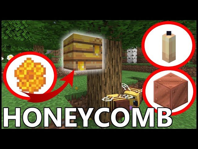 how to get honeycomb in minecraft