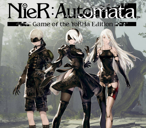 NieR:Automata Game of the YoRHa Edition Steam CD Key Cover-Artwork