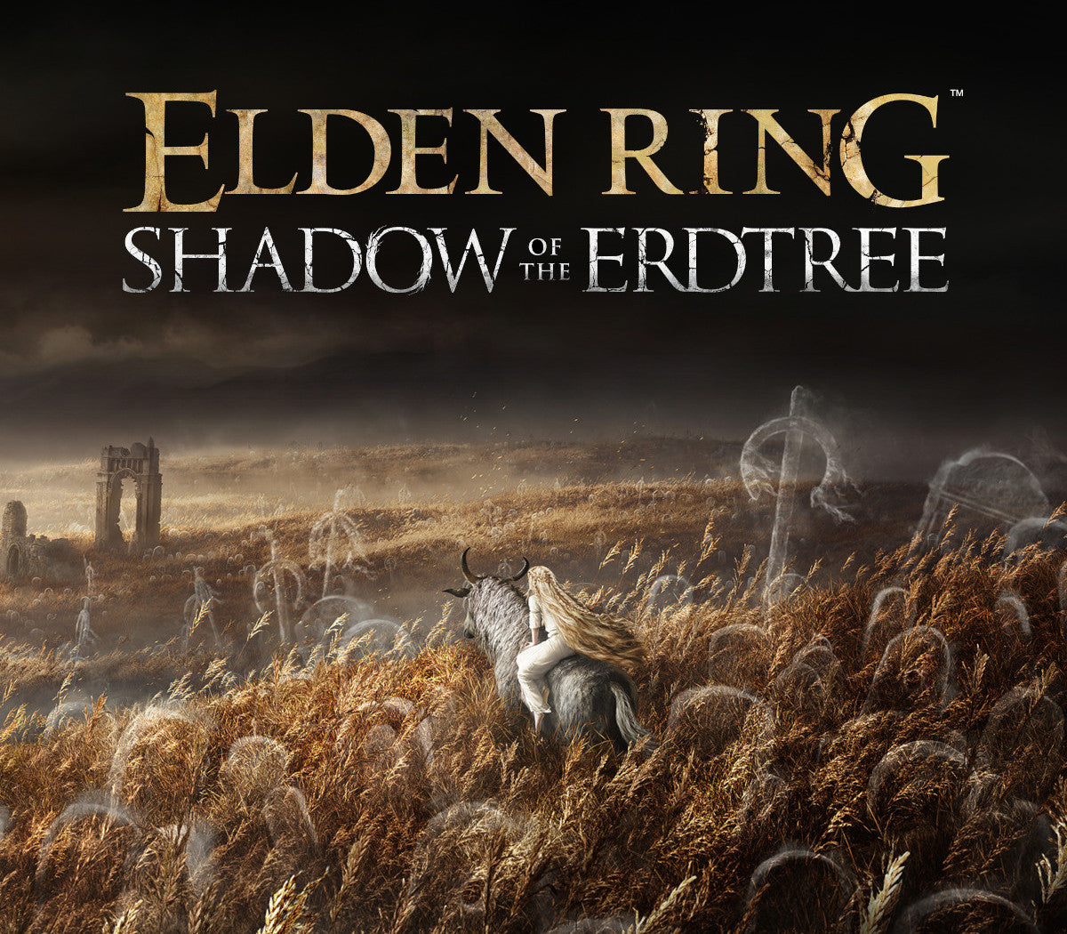 ELDEN RING Shadow of the Erdtree