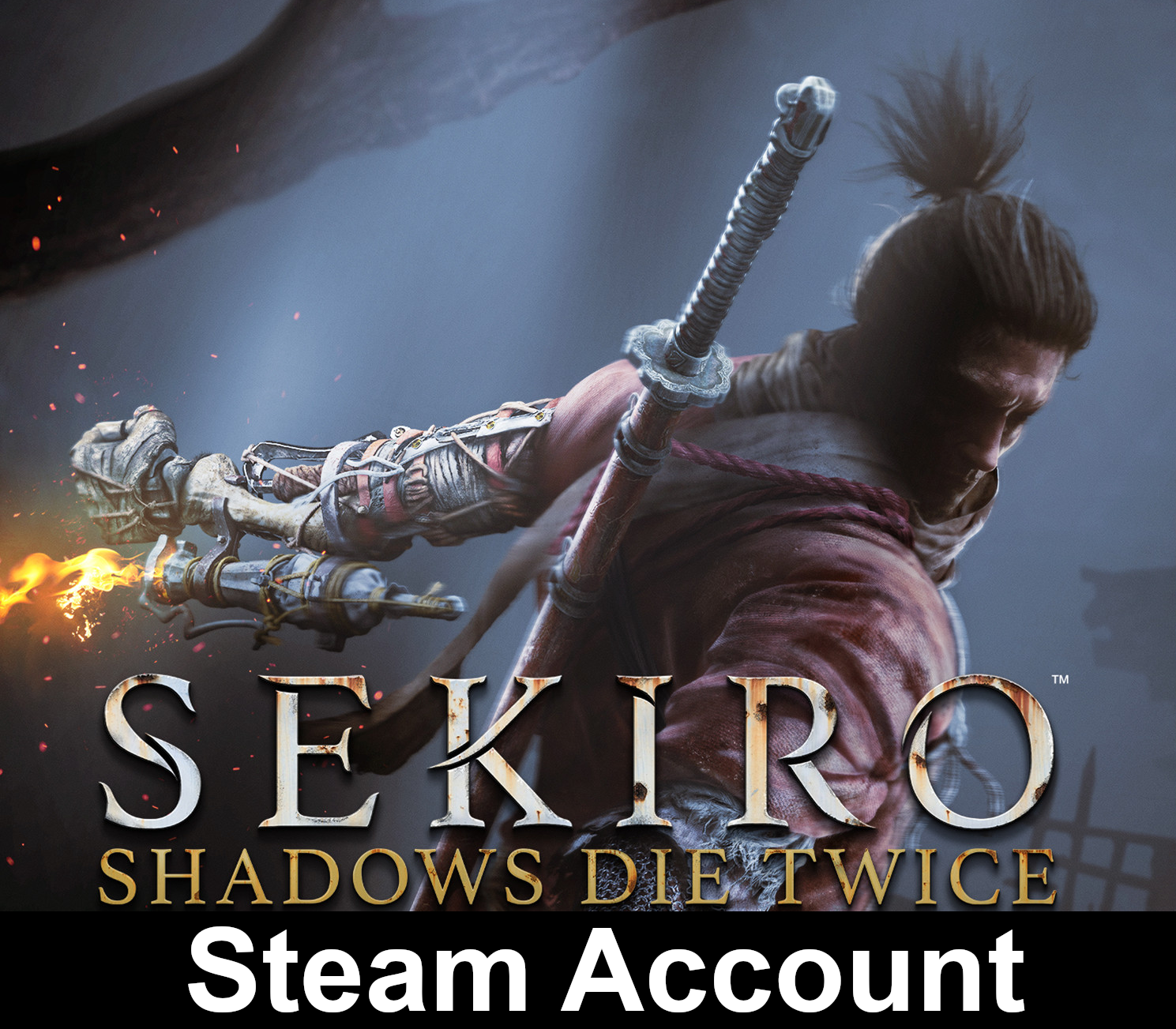 Sekiro: Shadows Die Twice Steam Account digital product cover