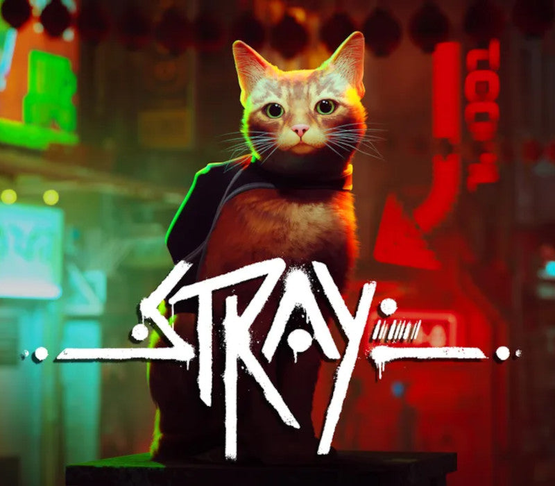 Stray PC Steam CD Key cover artwork
