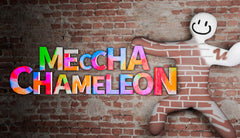 MECCHA CHAMELEON PC Steam Account-1