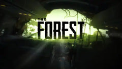 The Forest Steam Account-1