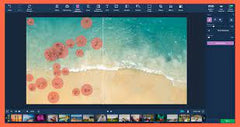 Movavi Photo Editor for Mac 5 Key (Lifetime / 1 Mac)-1