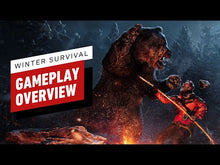 Winter Survival Epic Games Account
