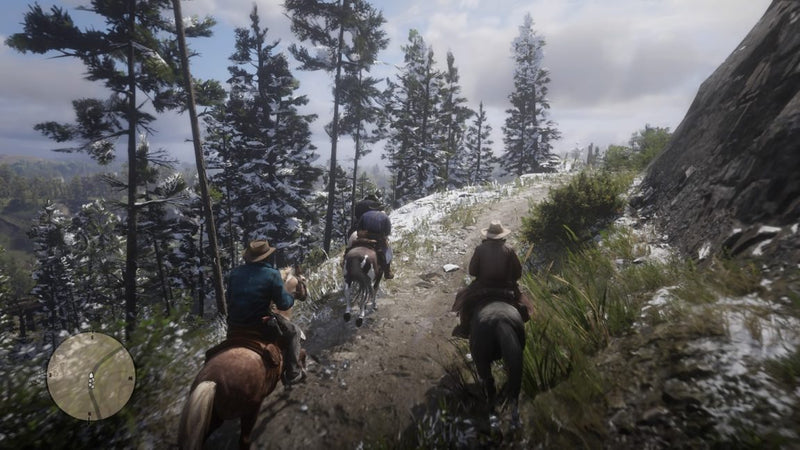Red Dead Redemption 2 Steam Account-1