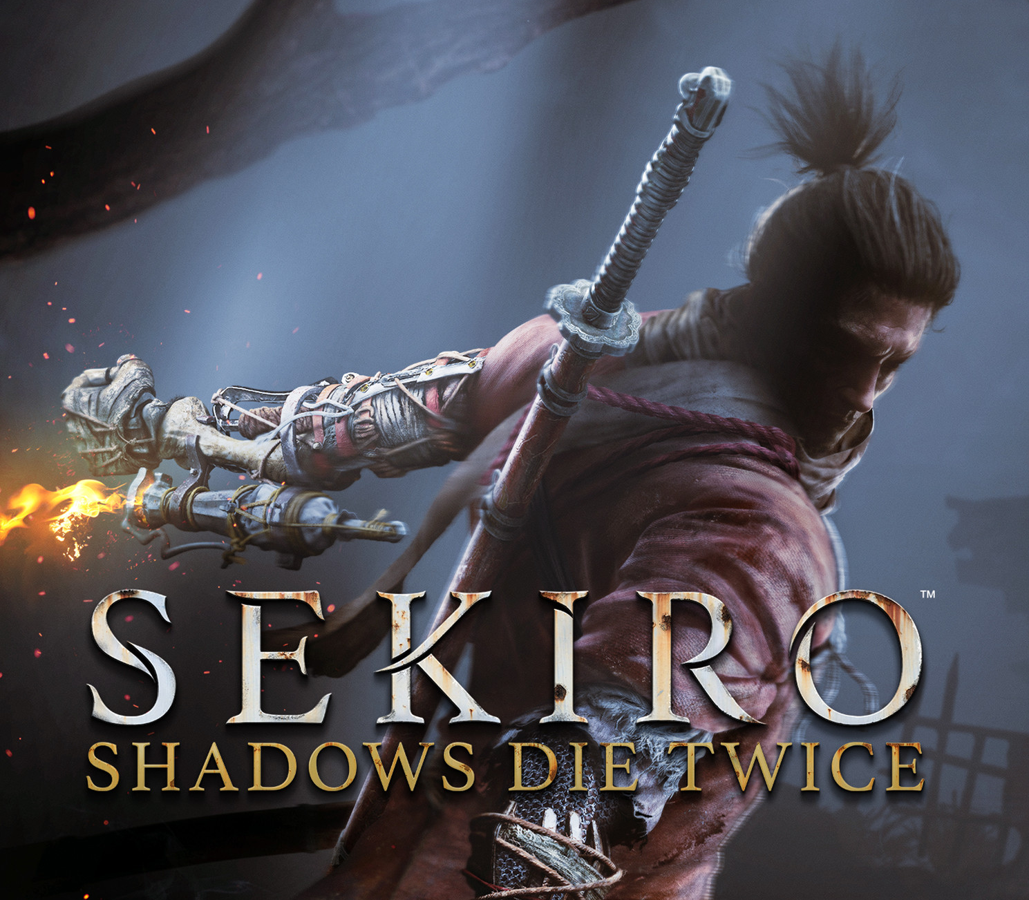 Sekiro: Shadows Die Twice GOTY Edition PS4 Account digital product cover