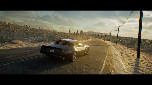 Drive Beyond Horizons Steam Account-2