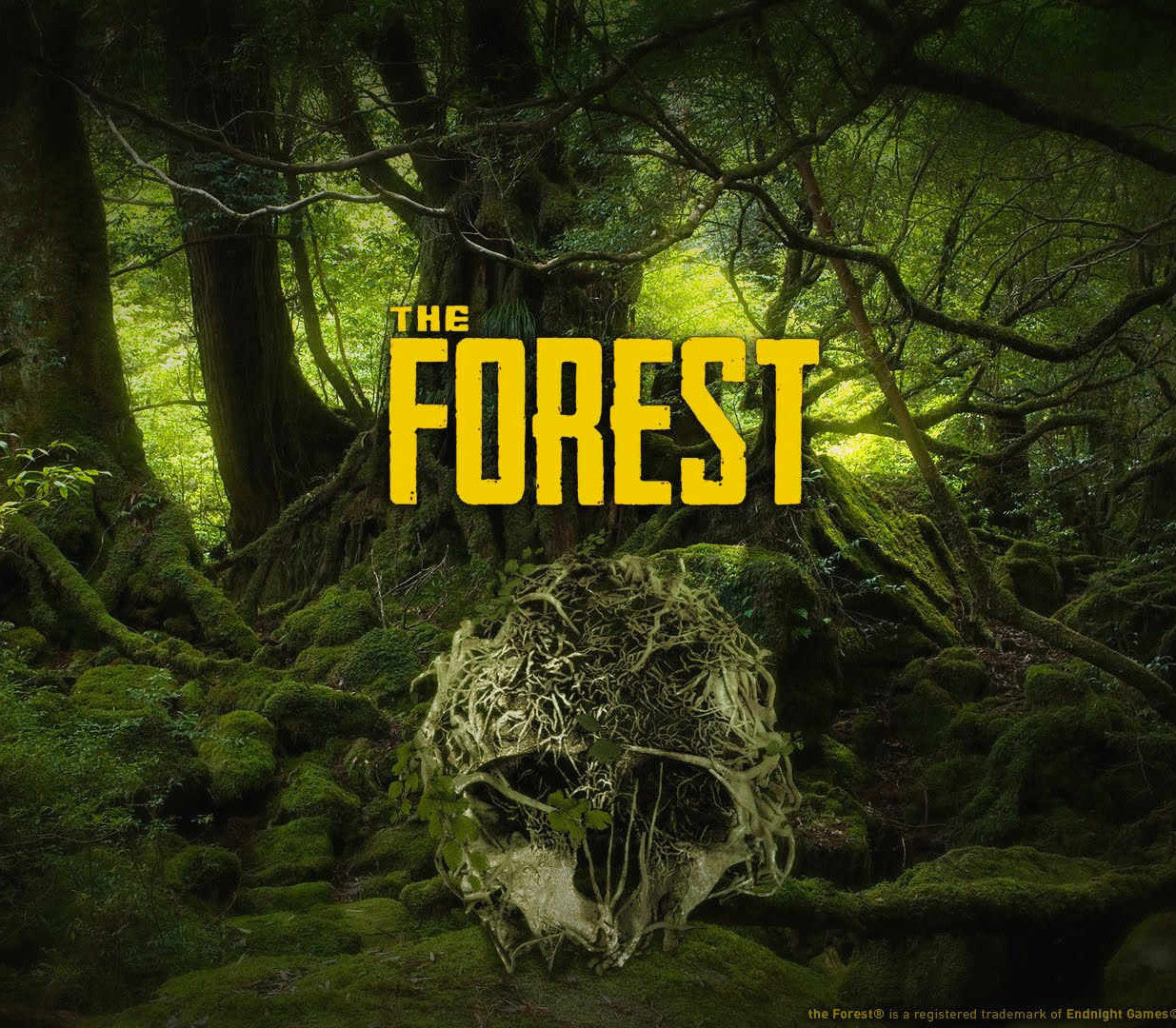The Forest Steam CD Key product image