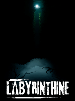 Labyrinthine Steam CD Key