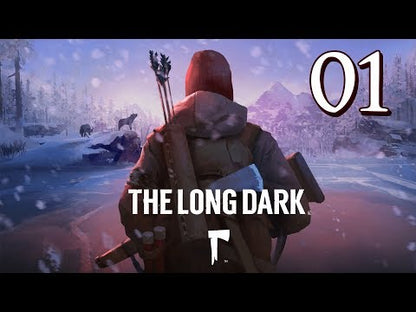 The Long Dark Steam CD Key