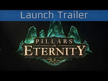 Pillars of Eternity - Hero Edition Steam CD Key
