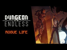 Dungeon of the Endless Steam CD Key