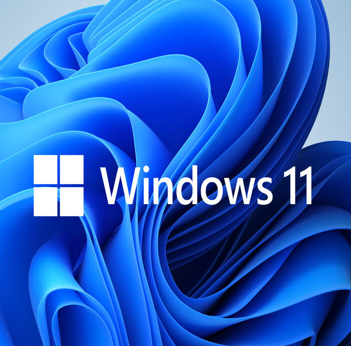 Windows 11 Pro OEM Key - The Best Operating System! – RoyalCDKeys